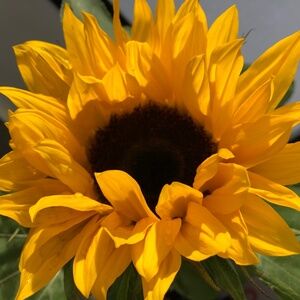 Meet your Posher, Pola!